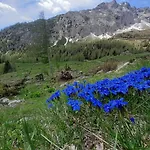 B&B Al Sole Valcomelico